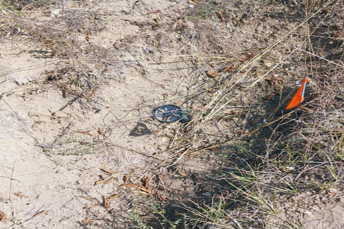 В Ходжалинском направлении обнаружены мины-ловушки, установленные армянами-ФОТО 