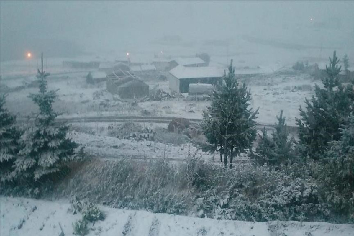 На побережье Черного моря в Турции выпал первый снег