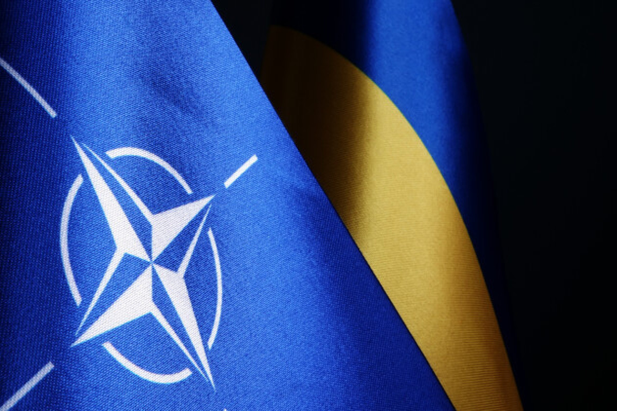 Украина подает заявку на членство в НАТО в ускоренном порядке