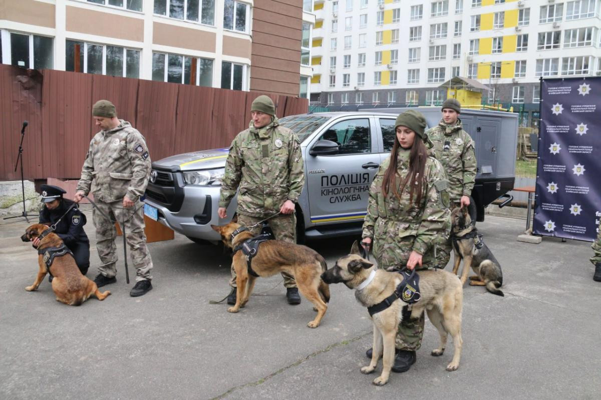 Полиция Киева получила 11 собак-саперов, которых обучали в Нидерландах