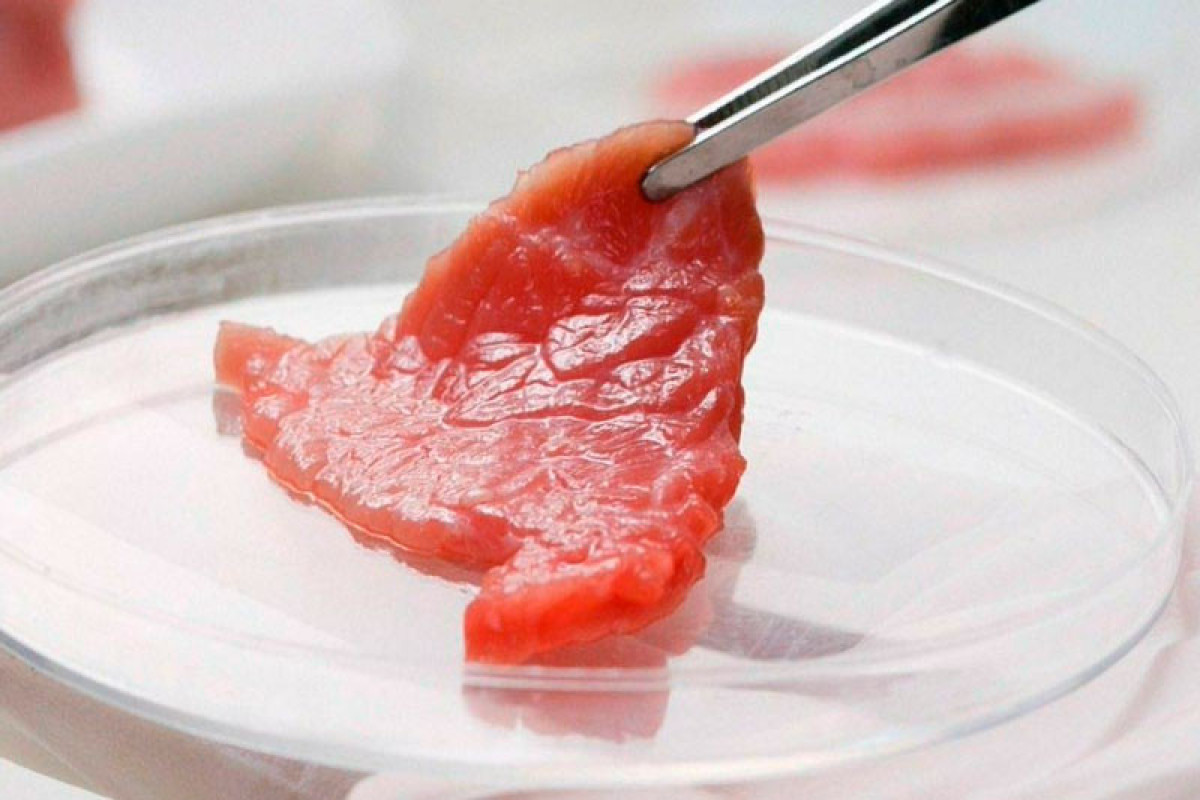 В мясе есть кровь. Лабораторные исследования мяса. Искусственно выращенное мясо.