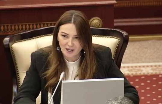 Ганира Пашаева о новом законопроекте: Все мы хорошо помним «Barmek» и «Bayva»