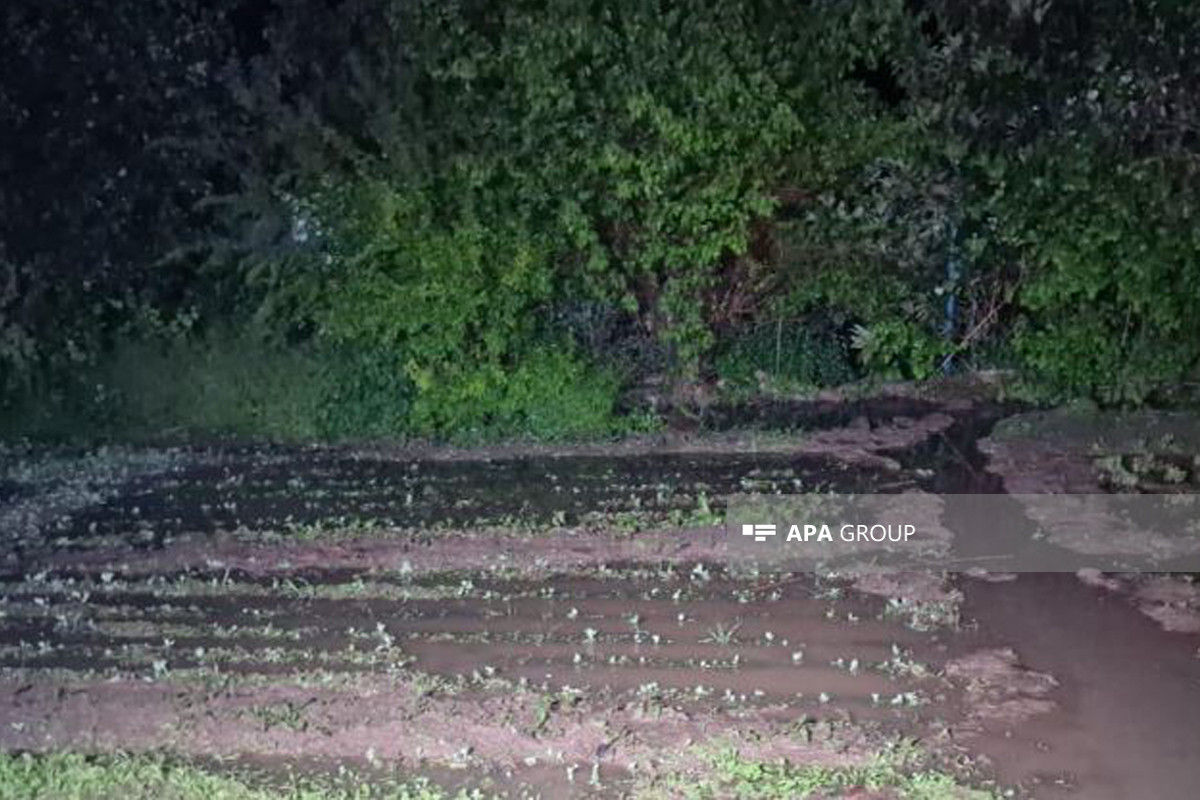 Селевые потоки в Тертере нанесли серьезный ущерб фермерским хозяйствам-ФОТО 