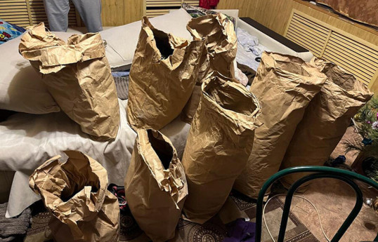 В Нидерландах таможенники изъяли рекордную партию наркотиков