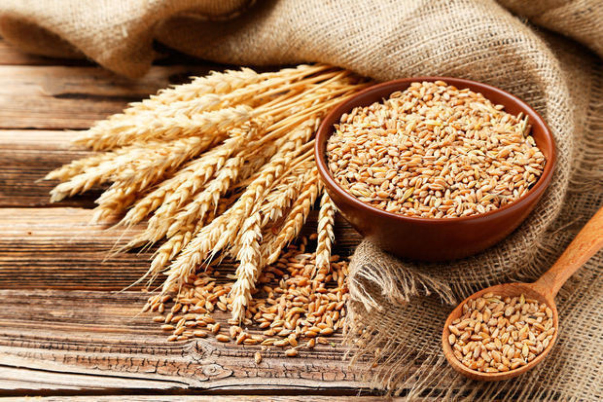 Аналитики предупреждают: миру грозит нехватка пшеницы