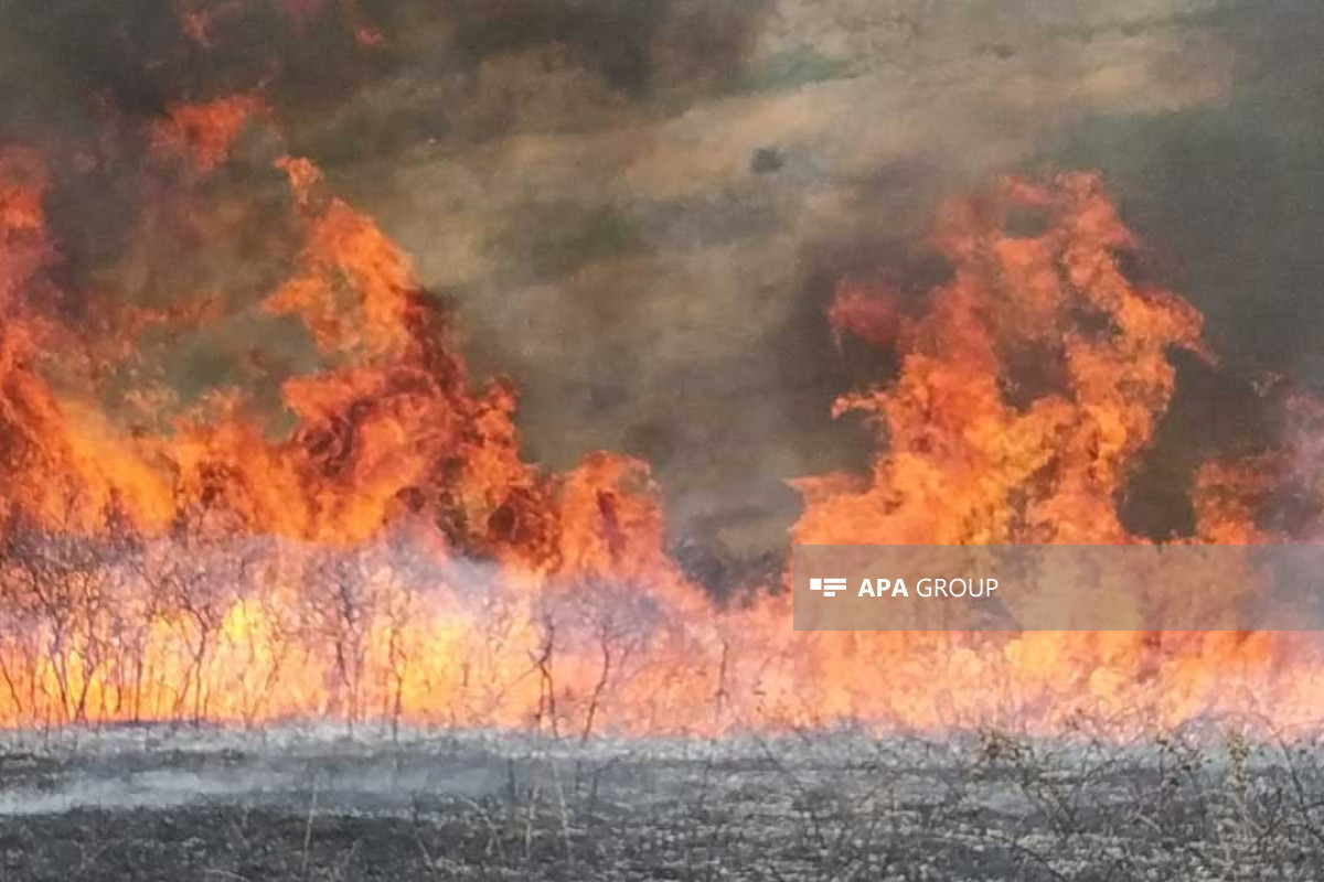 Пожар в горной местности в Шамахы локализован-ФОТО -ВИДЕО -ОБНОВЛЕНО 