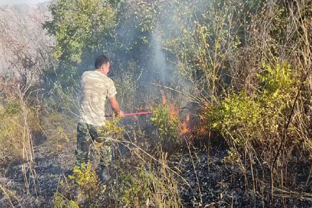 Пожар в горной местности в Шамахы локализован-ФОТО -ВИДЕО -ОБНОВЛЕНО 