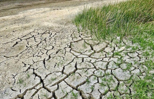 В одной из областей Казахстана ввели ЧС в связи с нехваткой воды