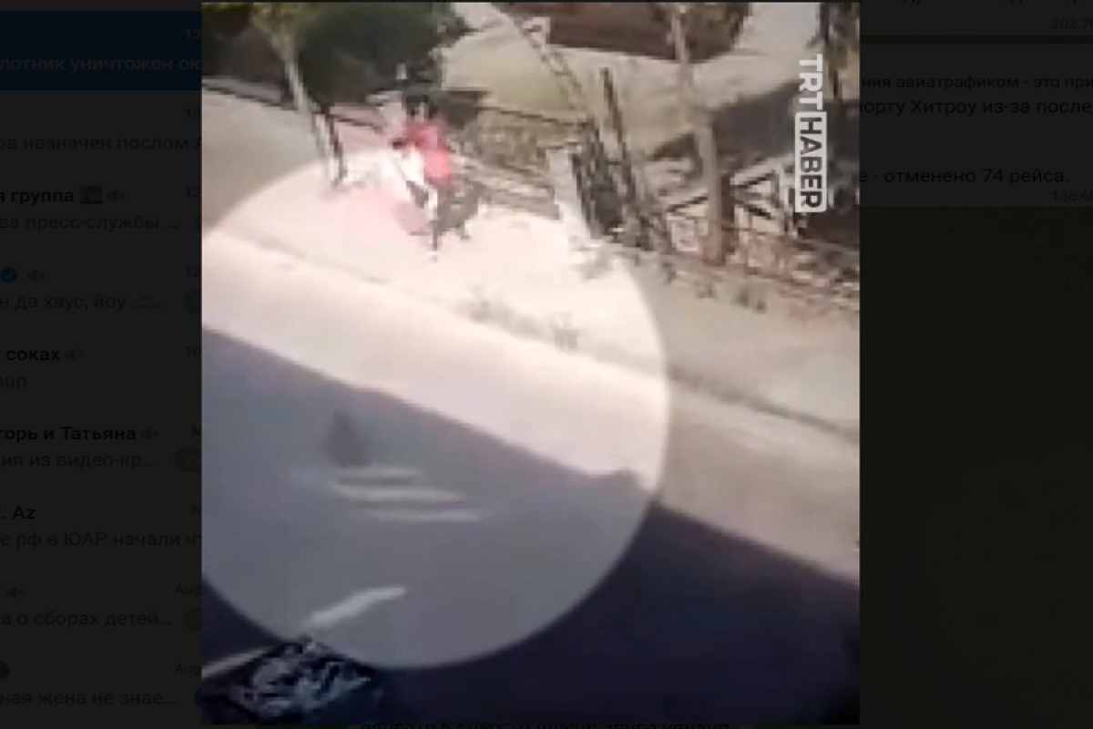 В Стамбуле бродячая обезьяна нанесла увечья троим прохожим-ВИДЕО