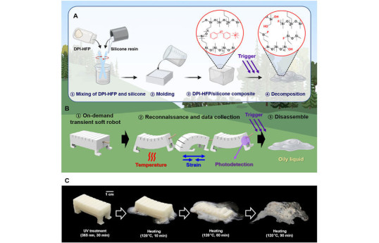 Ученые создали мягкого робота с функцией саморазложения
