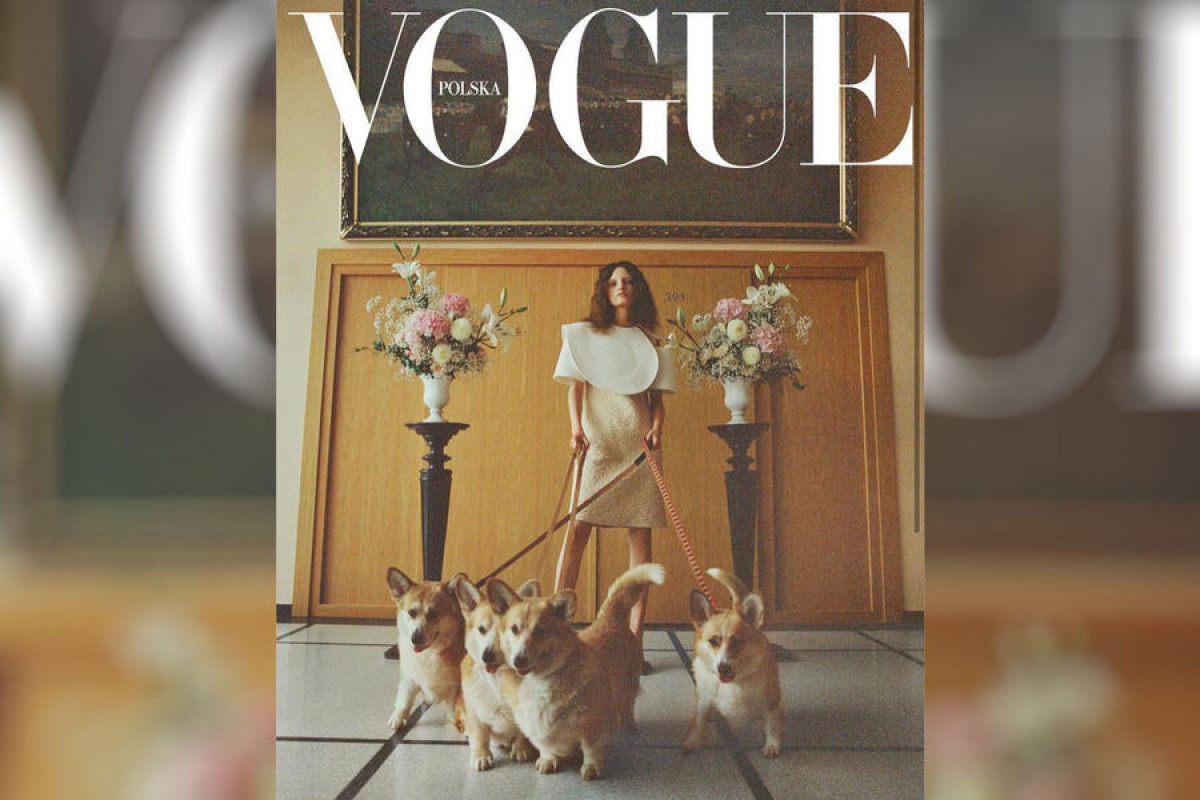 Vogue пригласил для съемок обложки любимых собак королевы Елизаветы II