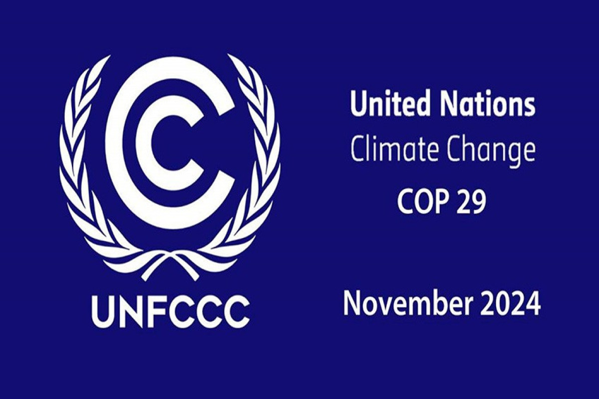 Страсти по конференции COP-29: Что за ними стоит?