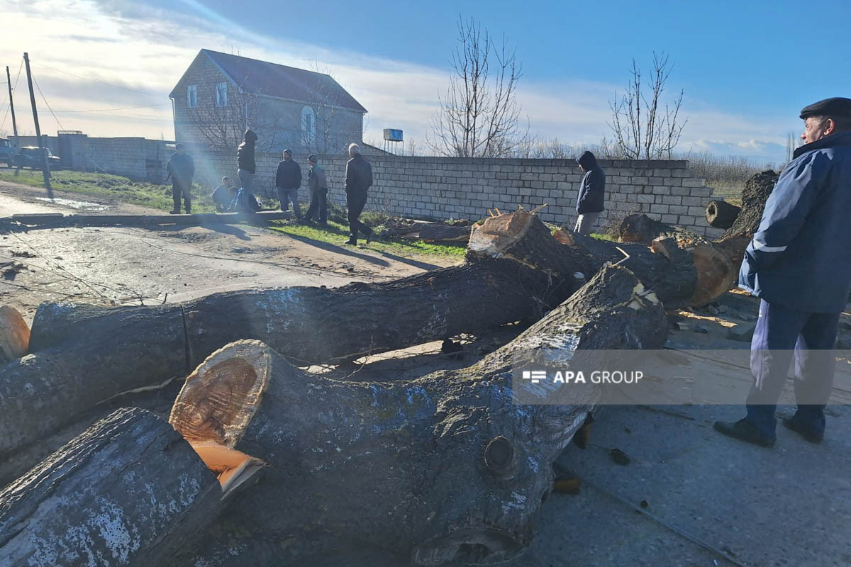 В Губе сильный ветер сорвал крышу «Зеленого театра», прервано электроснабжение города -ВИДЕО -ФОТО 