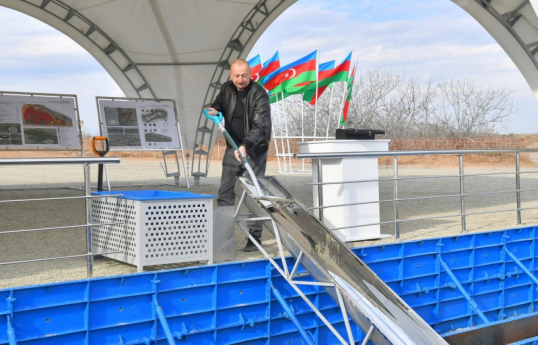 Президент Азербайджана принял участие в церемонии закладки фундамента села Баш Гарванд Агдамского района