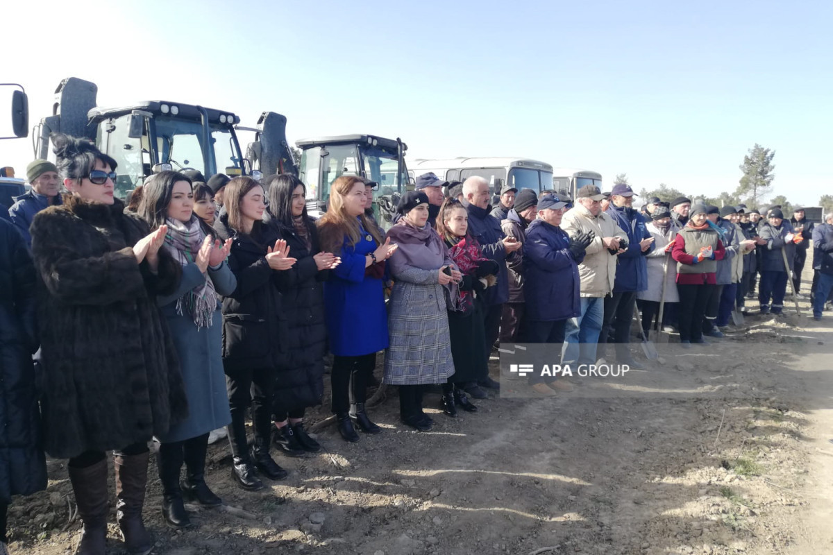 МЧС Азербайджана провело акцию по посадке деревьев, посвященную 100-летию Гейдара Алиева -ФОТО 
