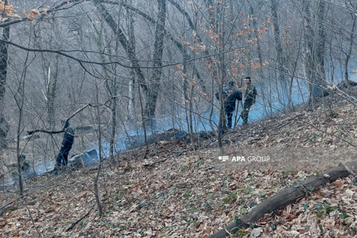 Пожар в национальном парке «Шахдаг» потушен-ОБНОВЛЕНО -ФОТО -ВИДЕО 