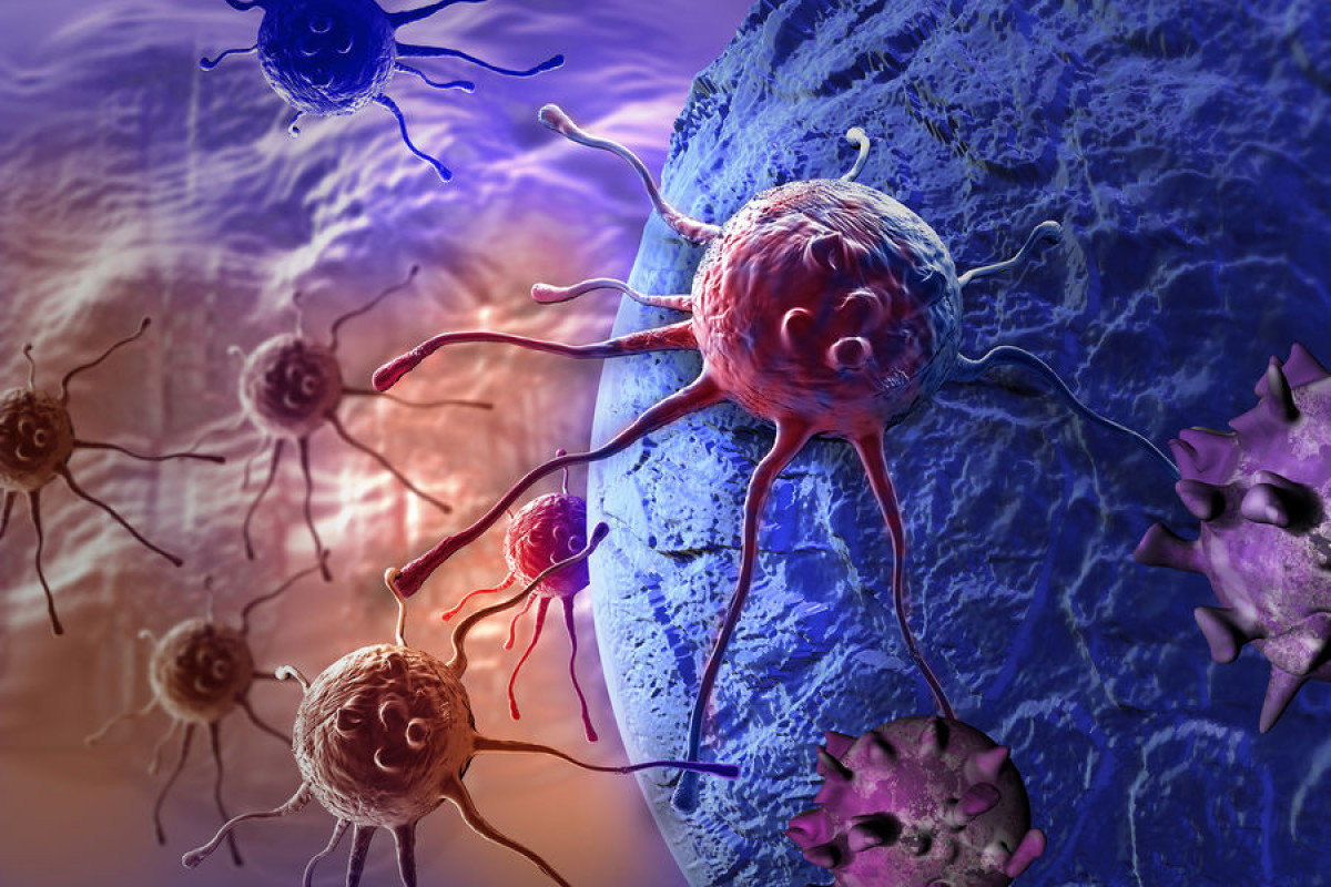 Биологи создали клетки-киборги для лечения и диагностики рака