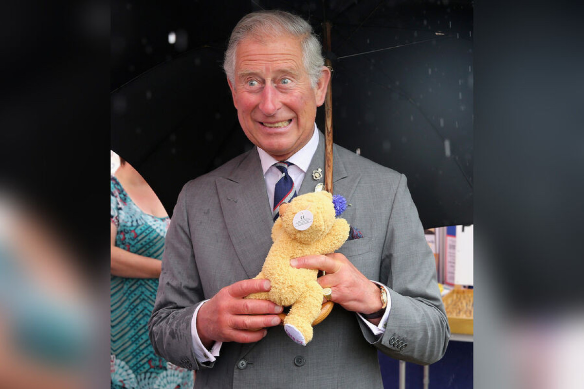 Принц Гарри признался, что Чарльз III одержим плюшевыми медведями