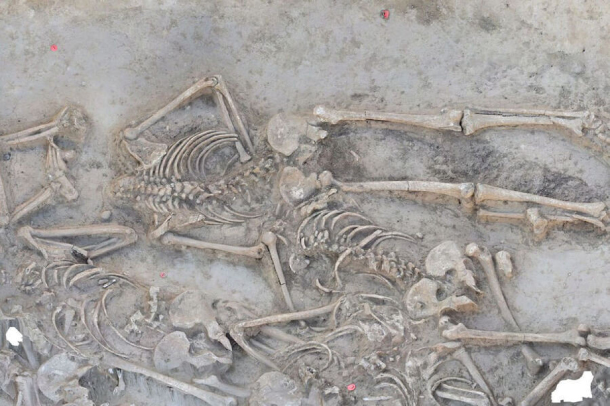 В Словакии обнаружили безголовые скелеты в братской могиле возрастом 7000 лет