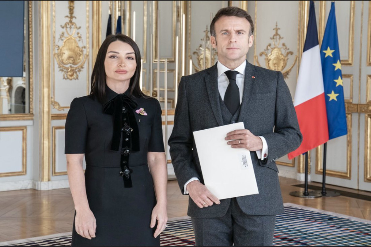 Лейла Абдуллаева вручила верительные грамоты президенту Франции-ФОТО 