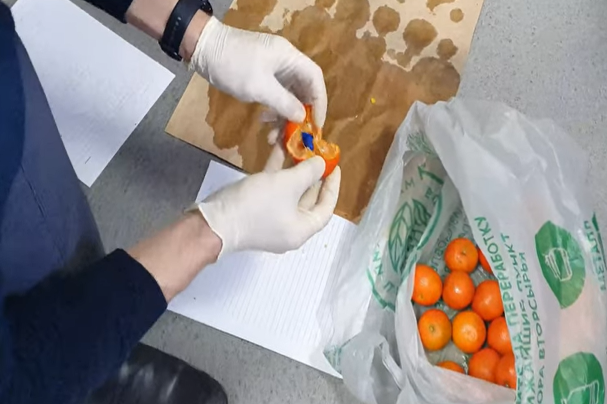 В России задержали мигрантов с начиненными наркотиками мандаринами-ФОТО 