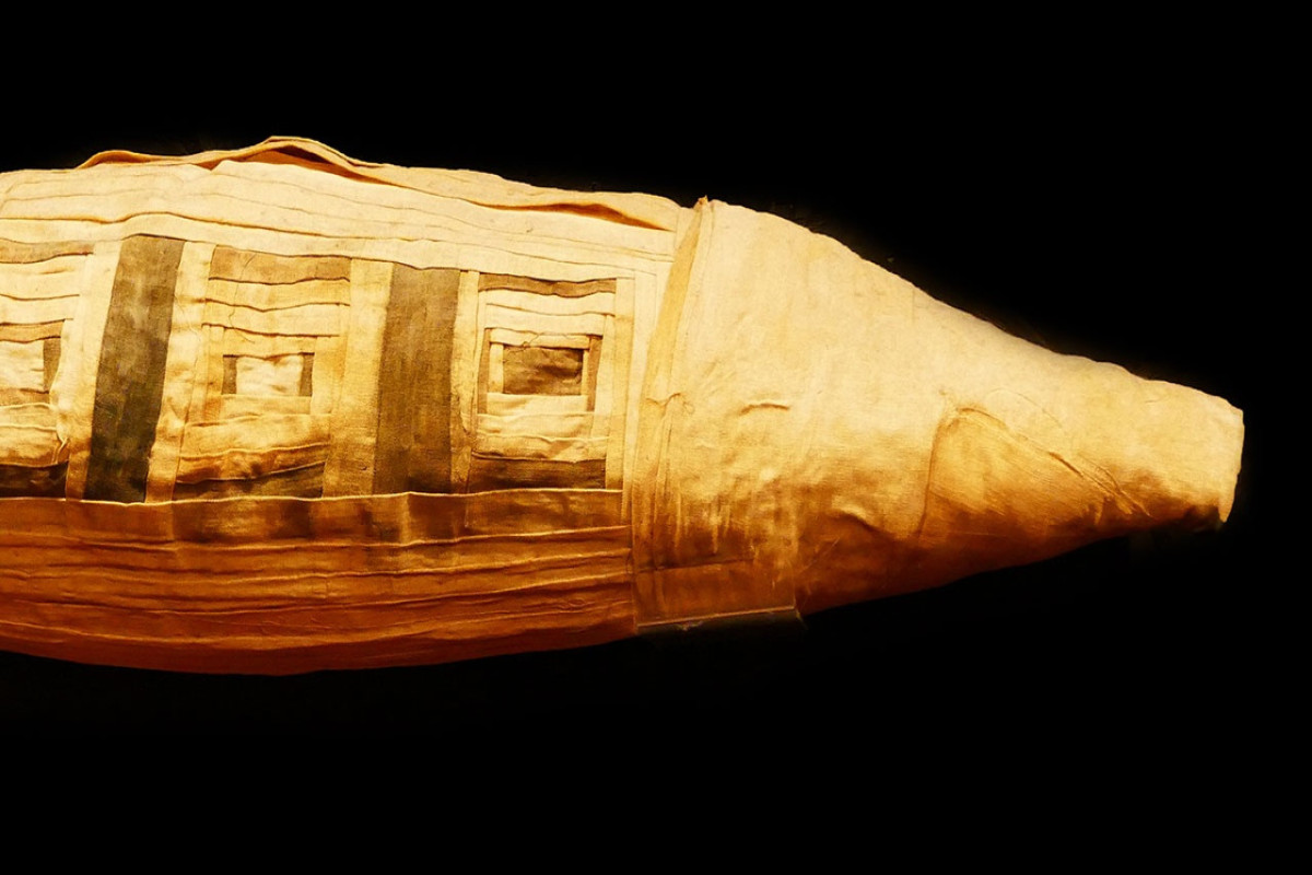 В Египте нашли гробницу с мумиями крокодилов - ИССЛЕДОВАНИЕ 