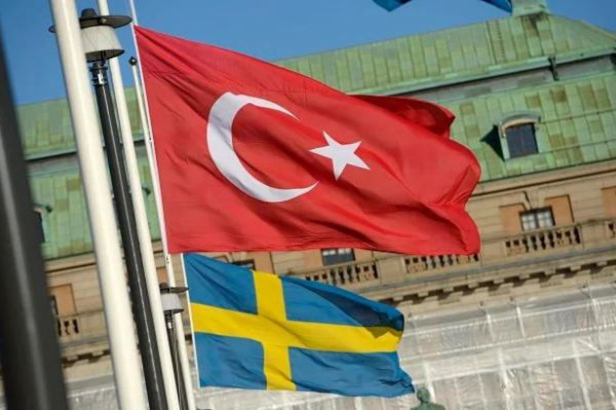 Анкара отменила визит в Турцию главы Минобороны Швеции из-за демонстраций в Стокгольме