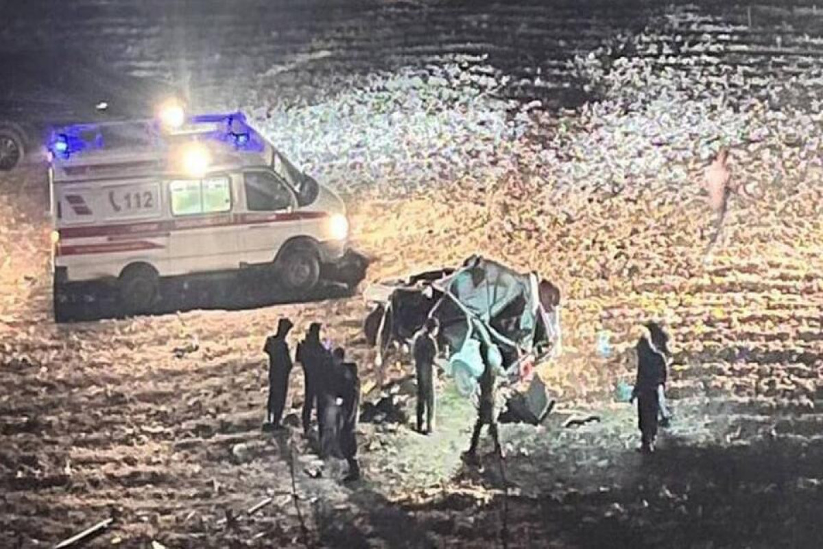 В Дагестане автомобиль упал с обрыва после столкновения с лошадью, один человек погиб