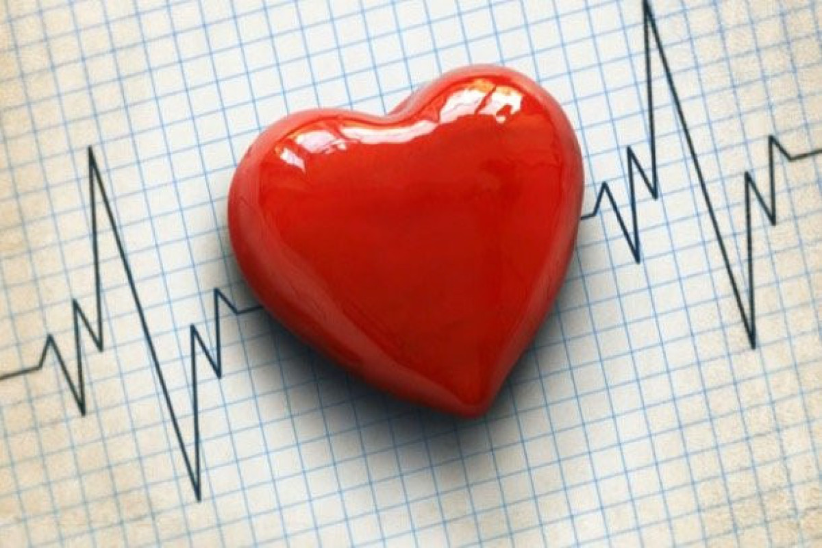 Обнаружена омолаживающая сердце на 10 лет мутация