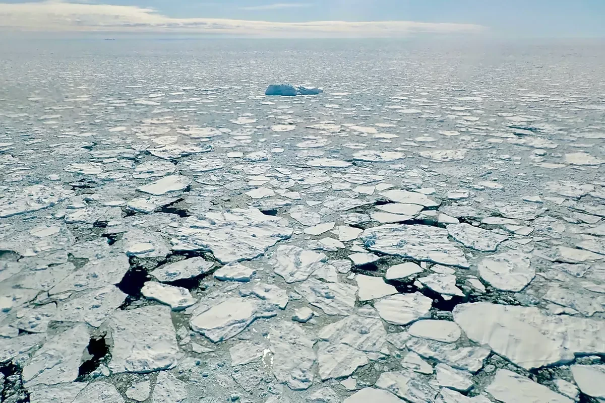 Потепление в Арктике может привести к сокращению CO2 в атмосфере