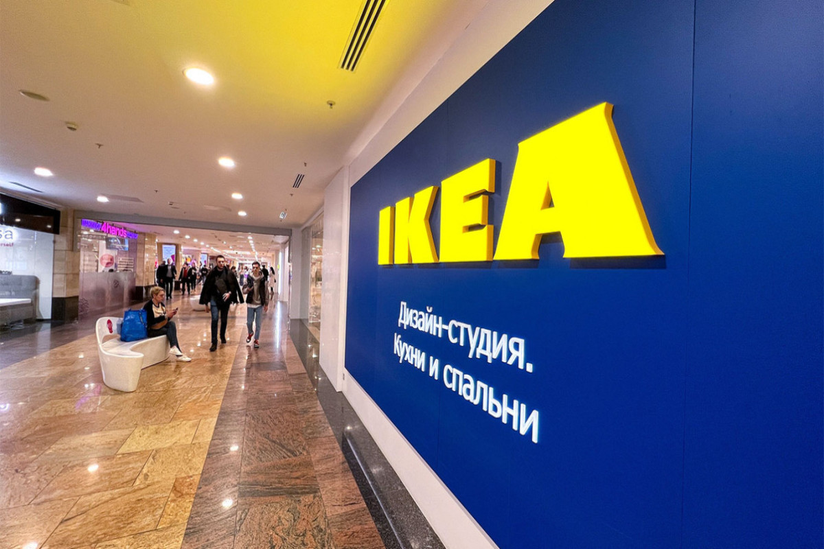 IKEA нашла замену российской и белорусской древесине