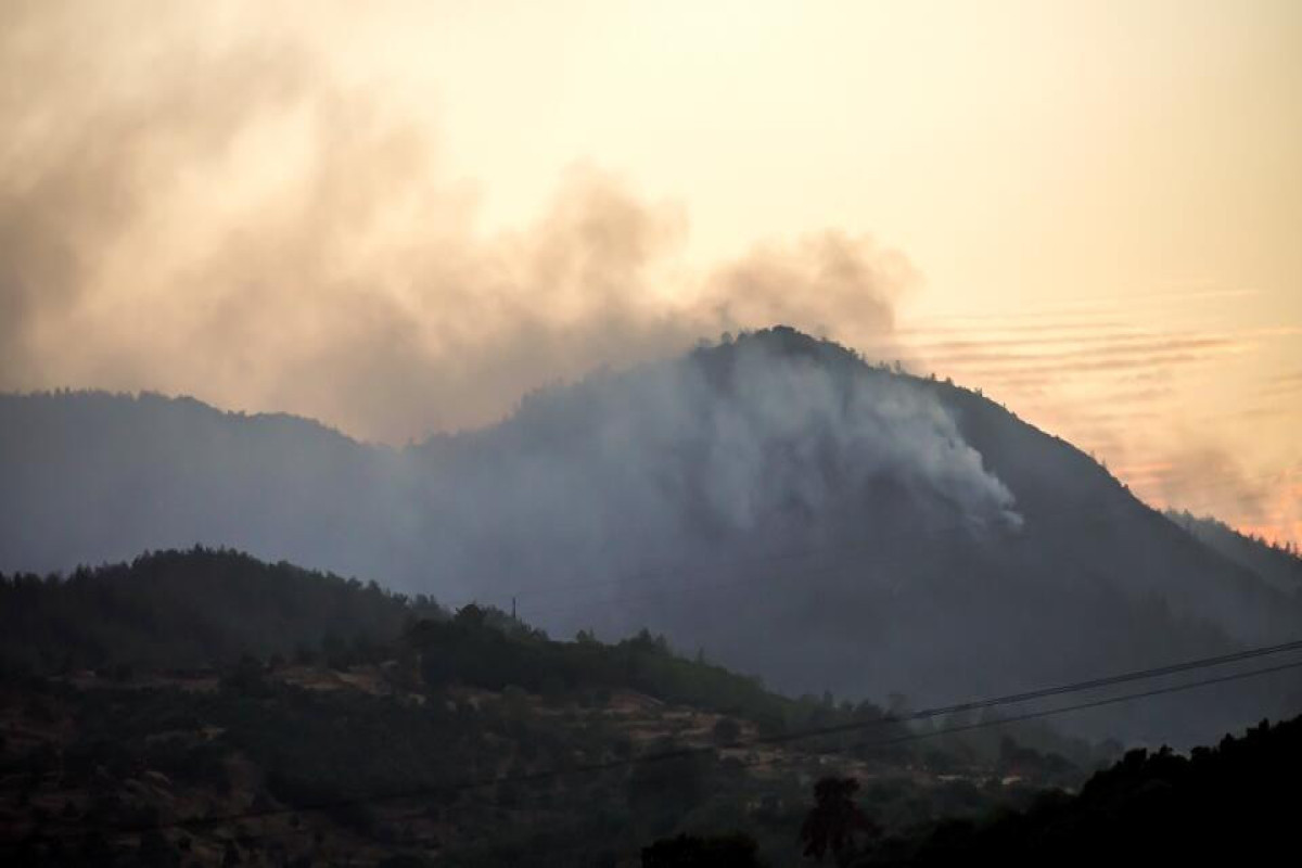 Лесной пожар в Турции: жителей прилегающих населенных пунктов эвакуируют
