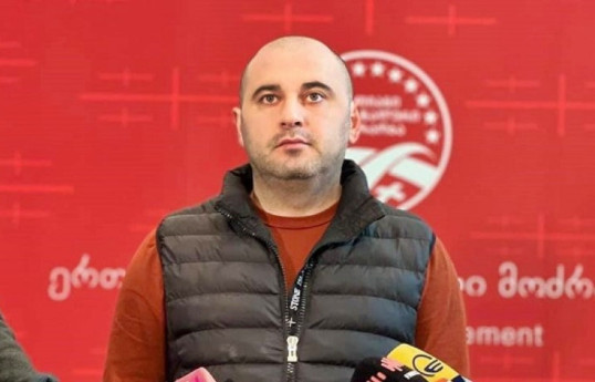 Новый лидер "Единого национального движения" в Грузии намерен свергнуть правящую партию