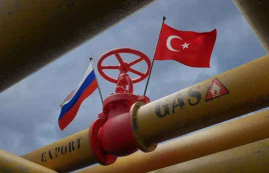 Турция будет искать альтернативы газовым поставкам из России