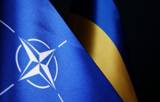 Страны НАТО согласовали декларацию по вопросу приема Украины в Альянс