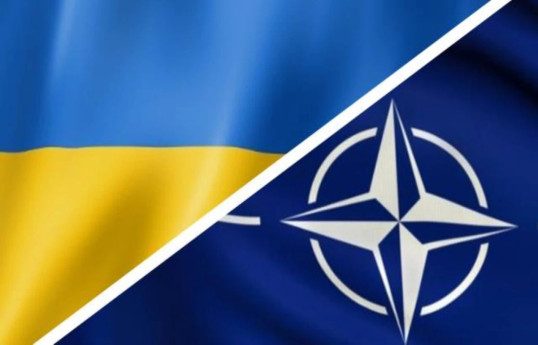 Украину примут в НАТО в следующем году - Алексей Резников  