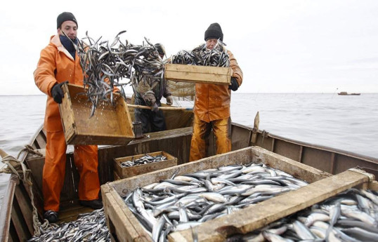 Не морская Армения в числе лидеров среди поставщиков морепродуктов в Россию – ОБХОД САНКЦИЙ?  