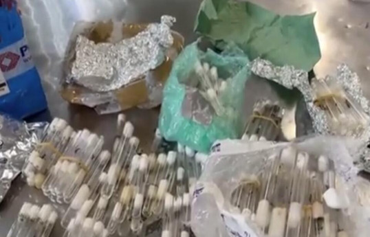 Таможня Пулково обнаружила колонию муравьев в посылке из Италии-ВИДЕО 