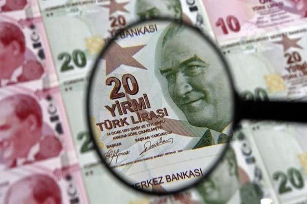 Турецкая лира упала еще на 7%