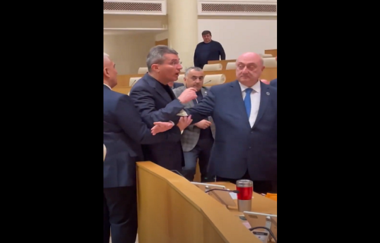 В грузинском парламенте активист забросал депутатов российскими рублями-ВИДЕО 