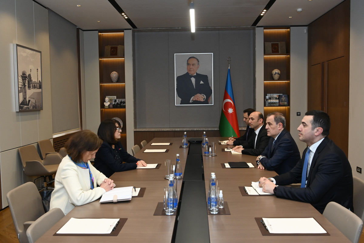 Джейхун Байрамов обсудил с сенатором Франции нормализацию азербайджано-армянских отношений-ФОТО 
