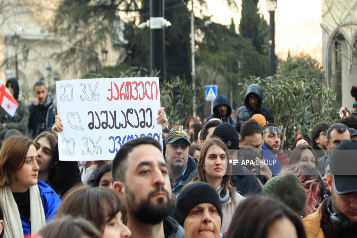 Участники акции в Тбилиси выдвинули властям два требования