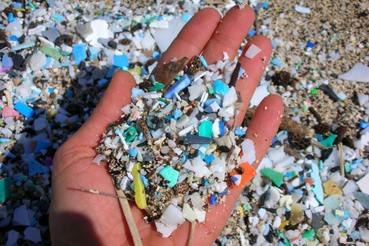 Ученые выявили резкий рост массы пластикового мусора в океане с 2005 года