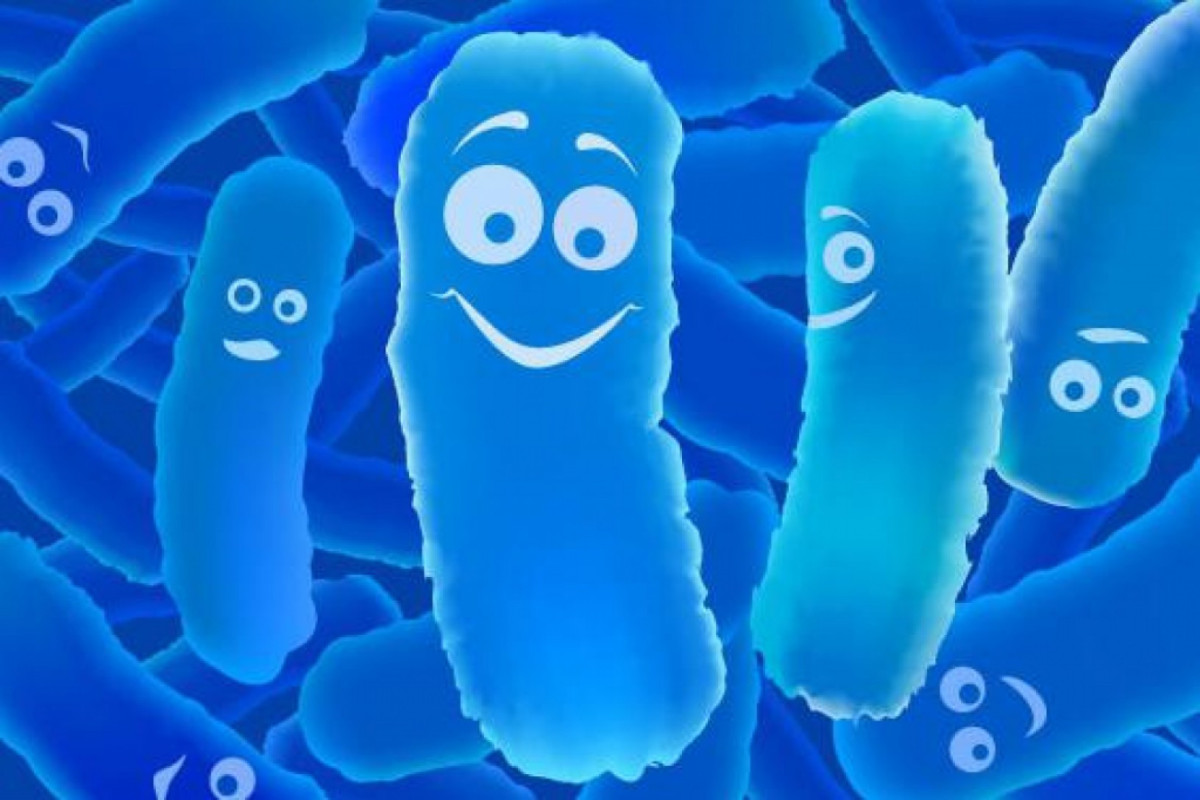 Биологи создали бактерии-камикадзе для лечения рака