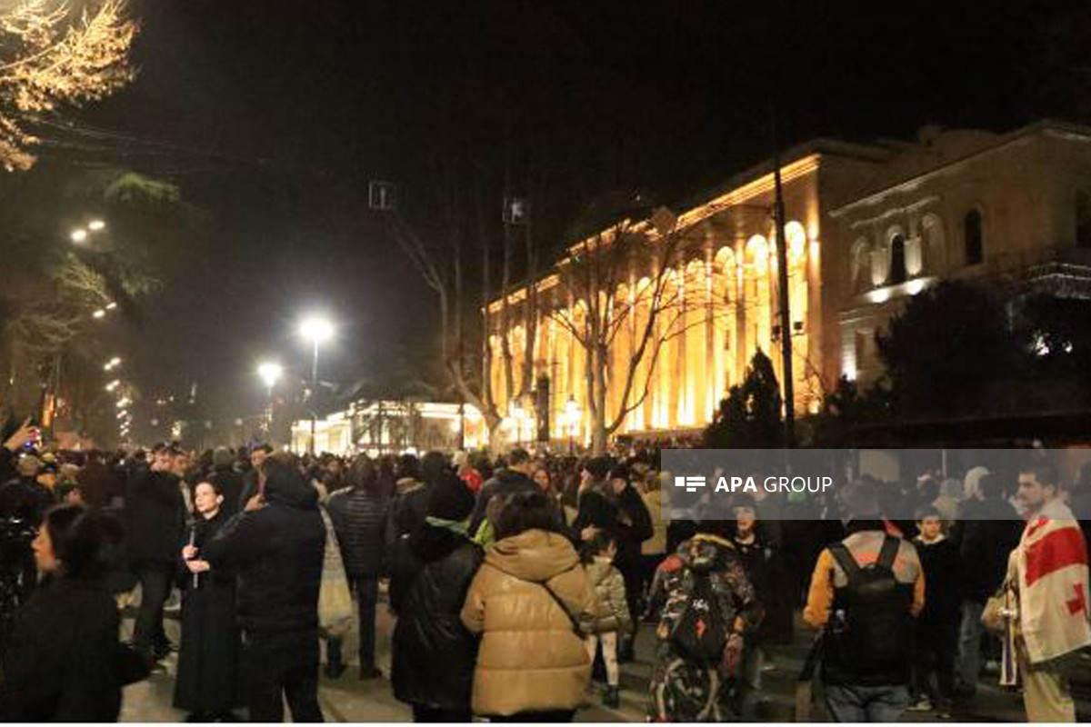 Все задержанные участники акций у парламента в Тбилиси освобождены - МВД Грузии 