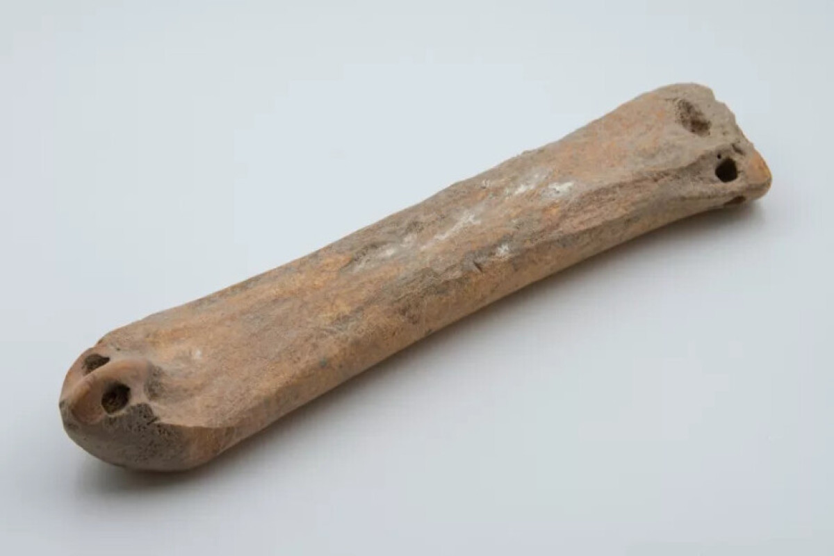 Костяные коньки возрастом 3500 лет нашли археологи в Китае