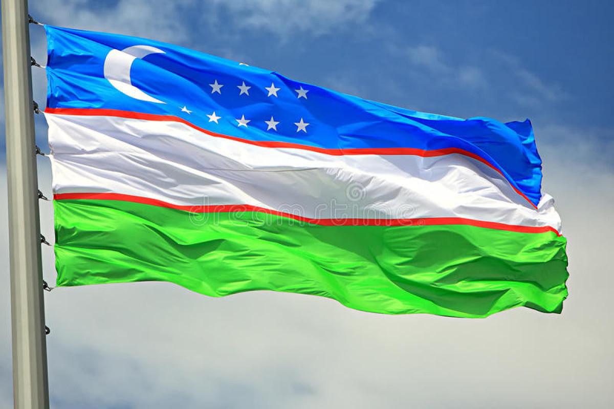 В Узбекистане проведут референдум по внесению изменений в конституцию