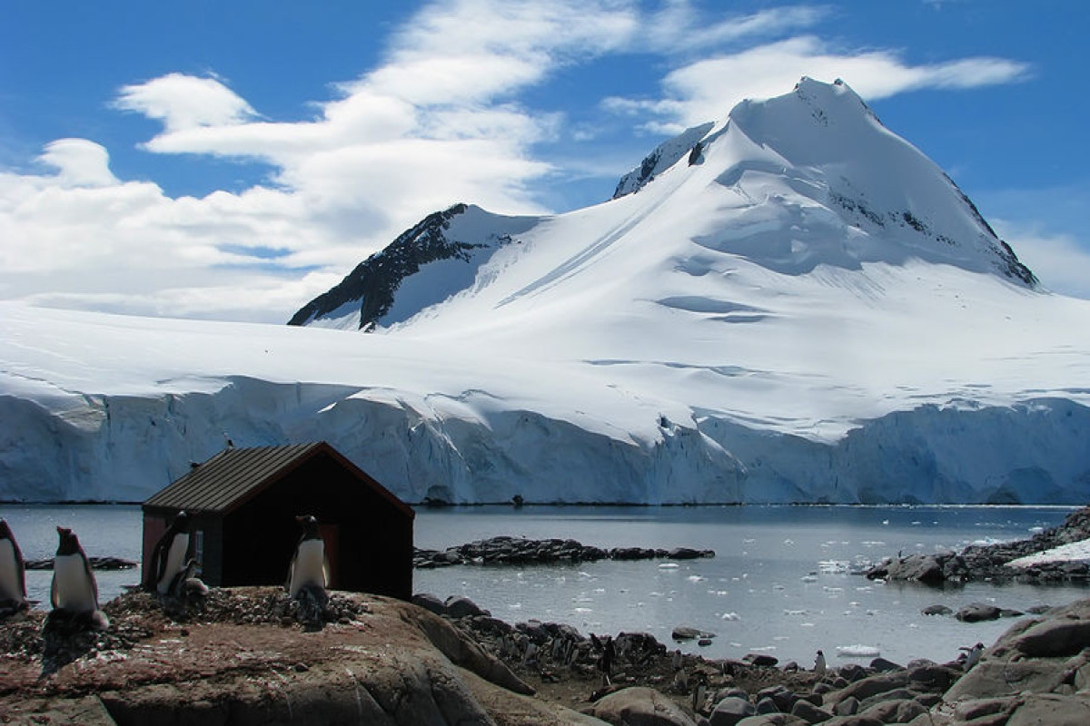 В ООН сообщили о рекордном уменьшении площади морского льда в Антарктике в феврале