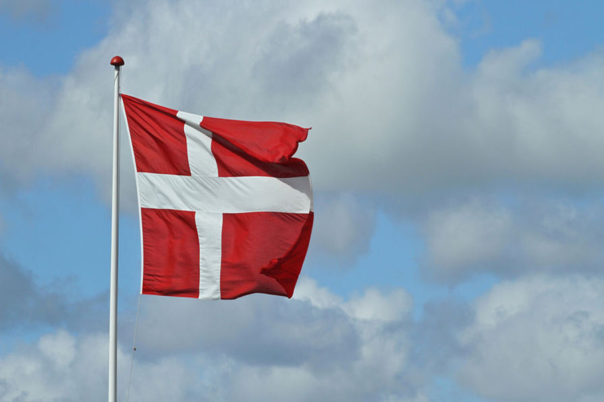 22-летняя девушка была изнасилована и расчленена на 231 кусок жителем Дании