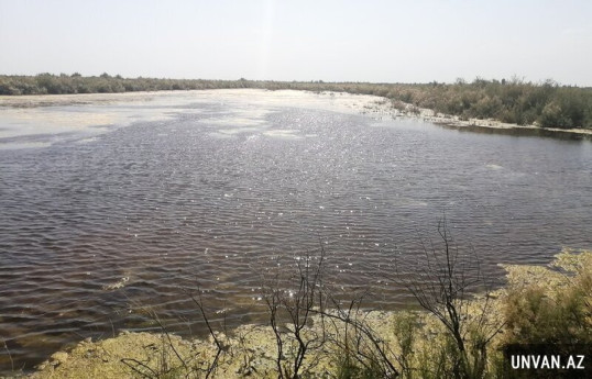Жители села в Кюрдемире: В Зардабском районе вода незаконно подается на посевы, до нас она не доходит  -ВИДЕО 